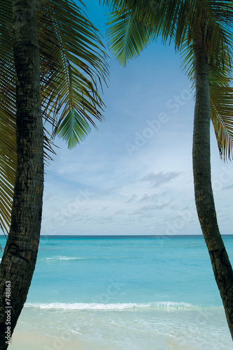 maldives beach