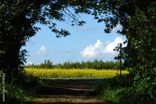 tunnelblick