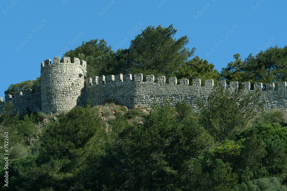 Fototapeta premium castle in forest