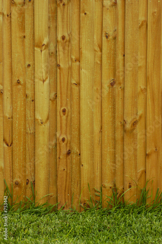 new fence portrait
