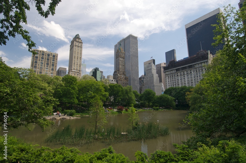 Fototapeta premium central park