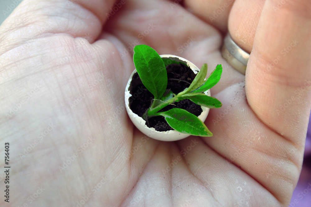 Фотография new life