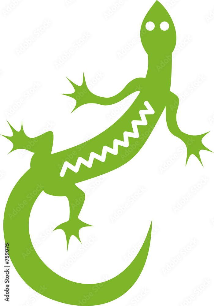 Fototapeta premium lezard