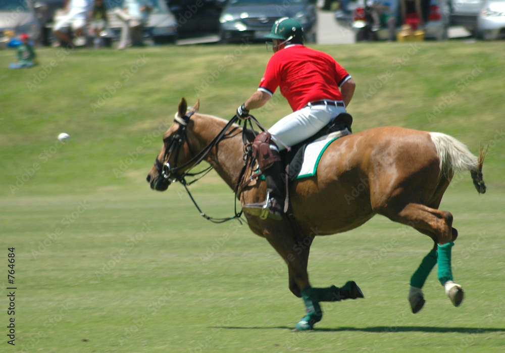 polo player polo player