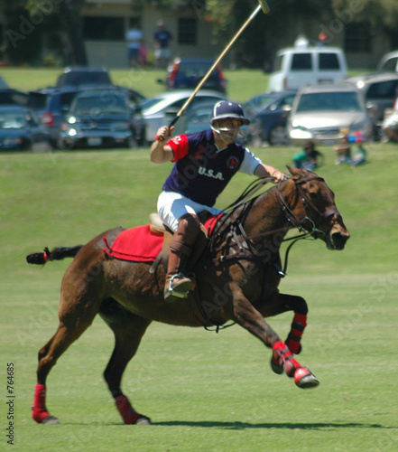 polo player