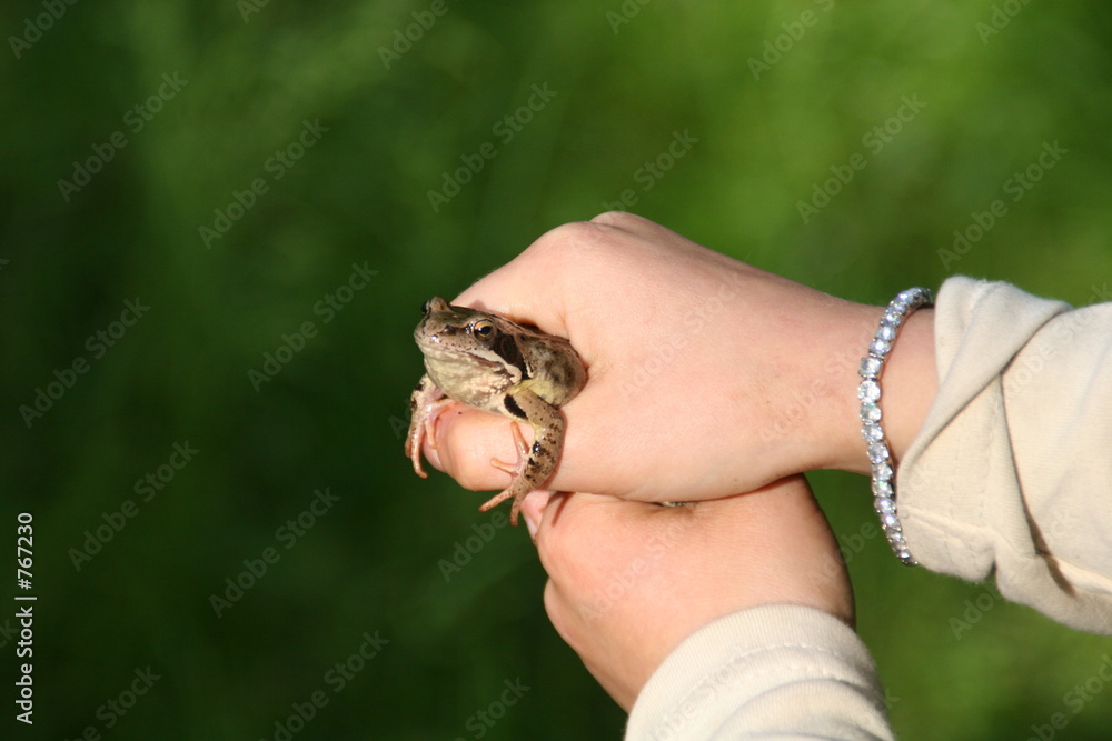 frosch in kinderhänden