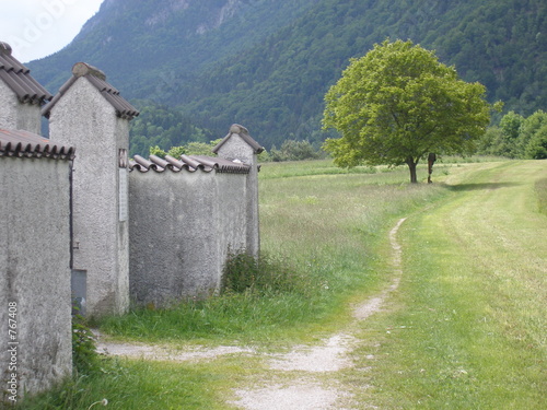 weg mit mauer und baum photo