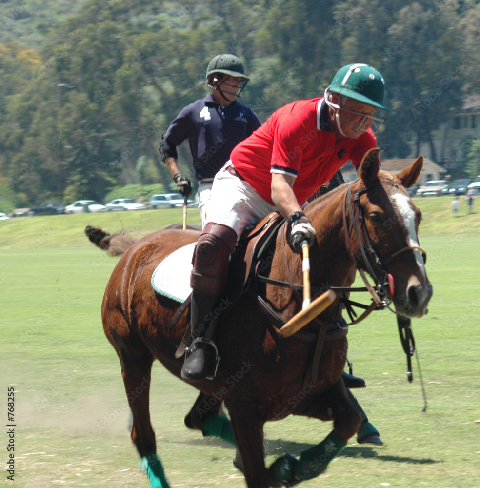 polo players