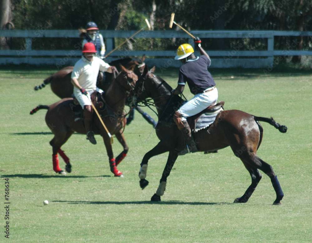 polo players