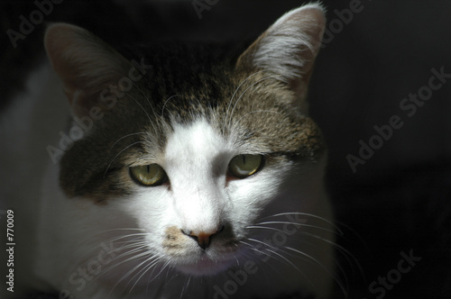 dolorous