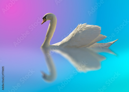 swan in bright colors