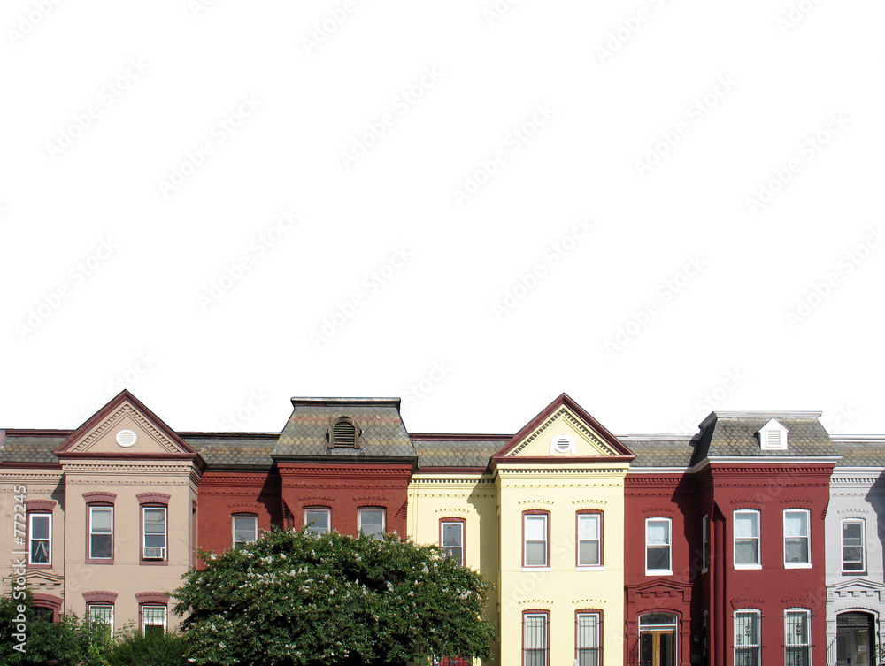 dc rowhouse rooftops on white