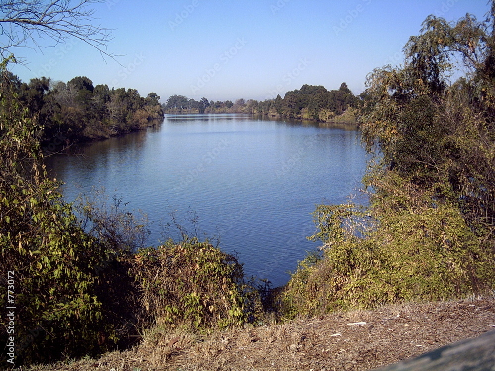 Fototapeta premium river landscape