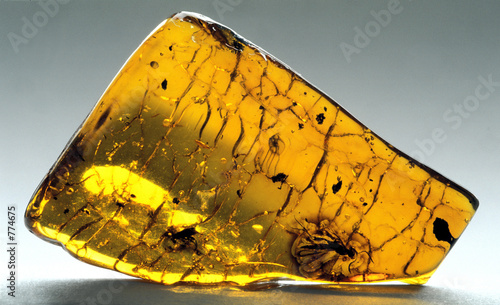amber inkluzja-3