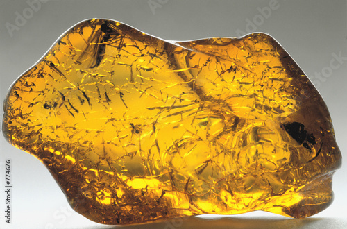 amber inkluzja-5