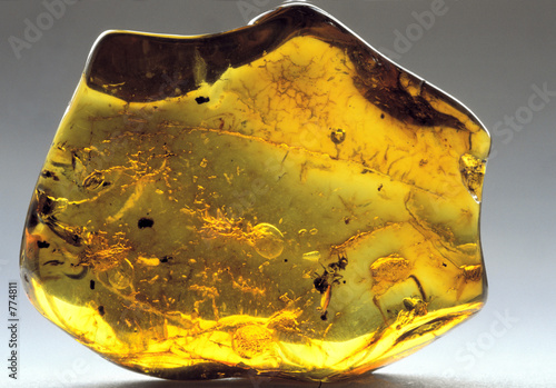 amber inkluzja-8