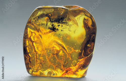 amber inkluzja-10