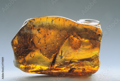 amber inkluzja-16