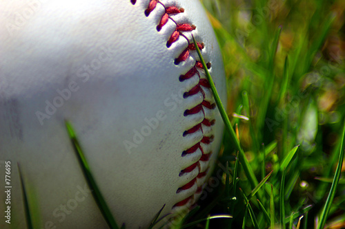 baseball in the grass