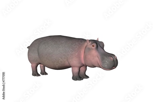 hippo one