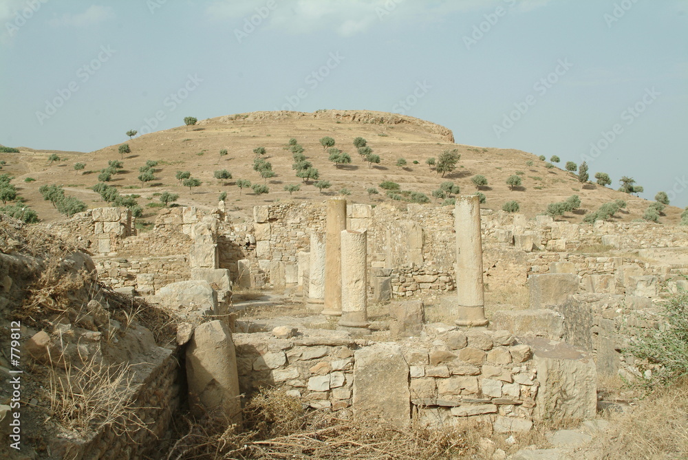ruine romaine d edouga tunisie