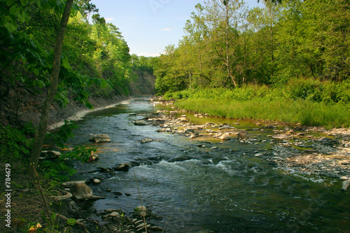 creek view