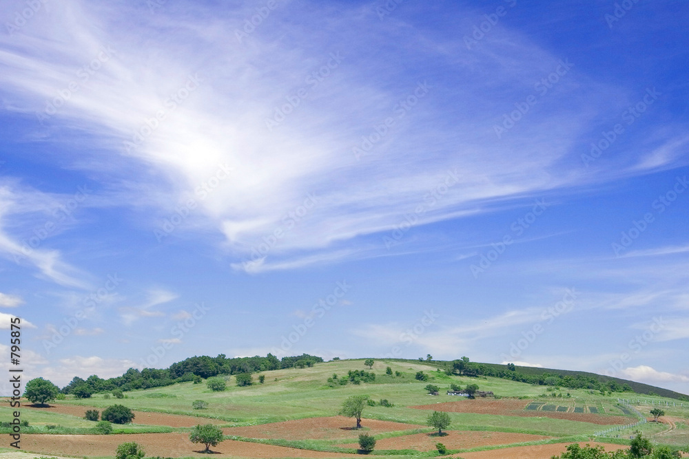 fields & blue sky