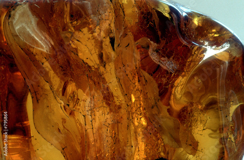 raw amber - 26