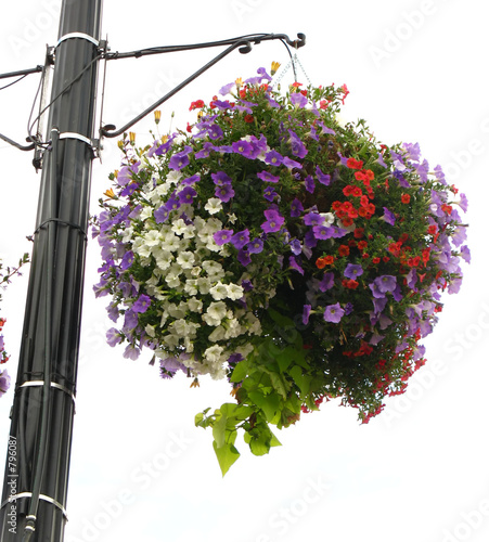 planter