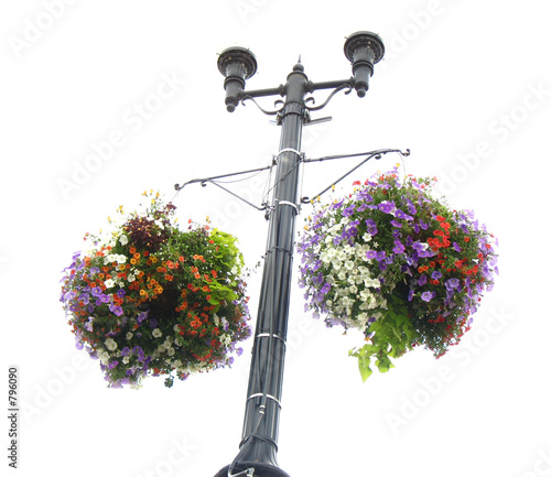 floral planter