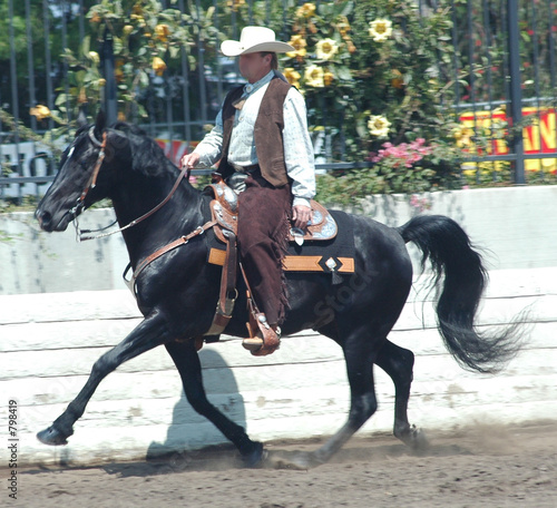 cowboy & walking horse