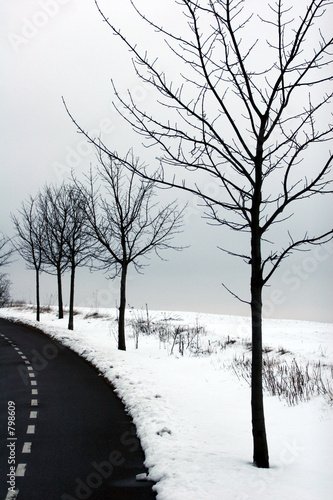 winter in denmark photo