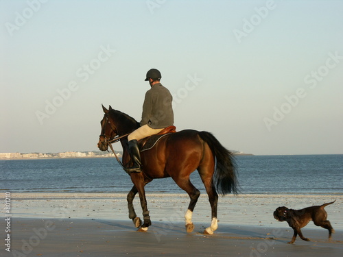 promenade à cheval sur la plage