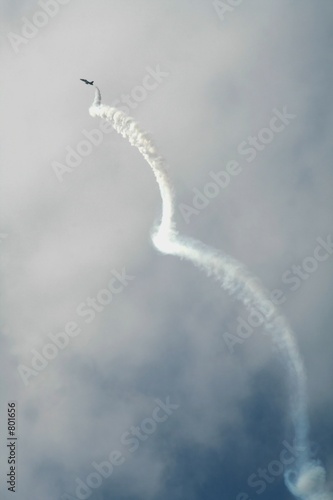 acrobatic fly
