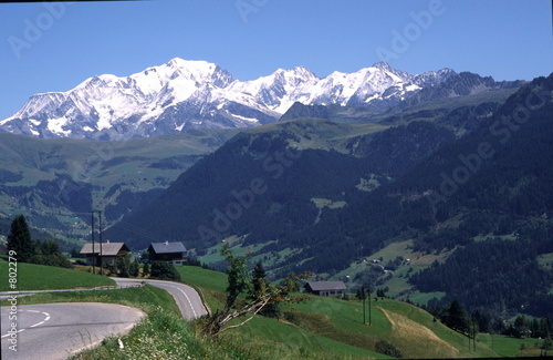 alpine road