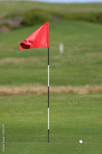golf course flag