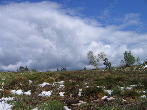 heide
