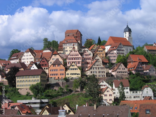 bergstadt
