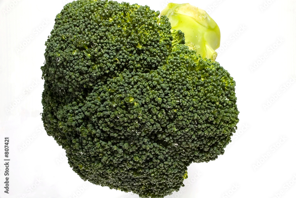 brocci brocci