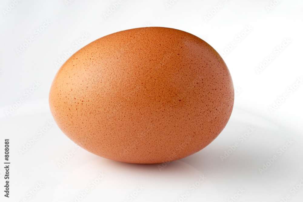 chicken egg chicken egg