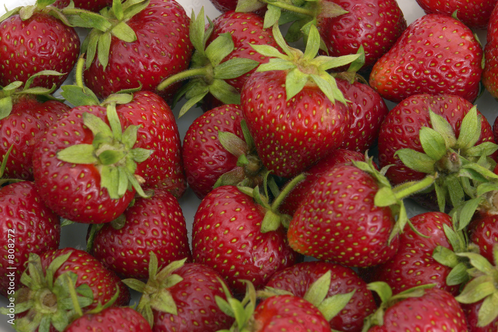 Canvas Print strawberry-17