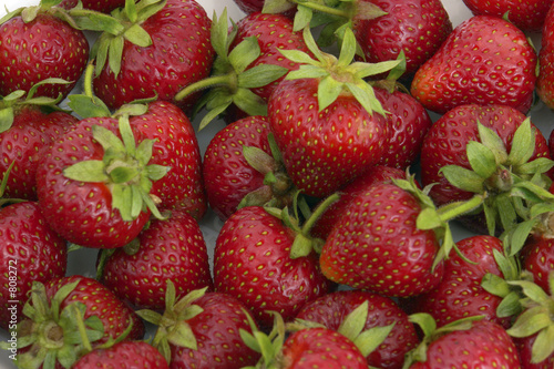 Canvas Print strawberry-17