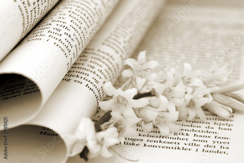 book and flower