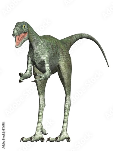 velociraptus the dinosaur