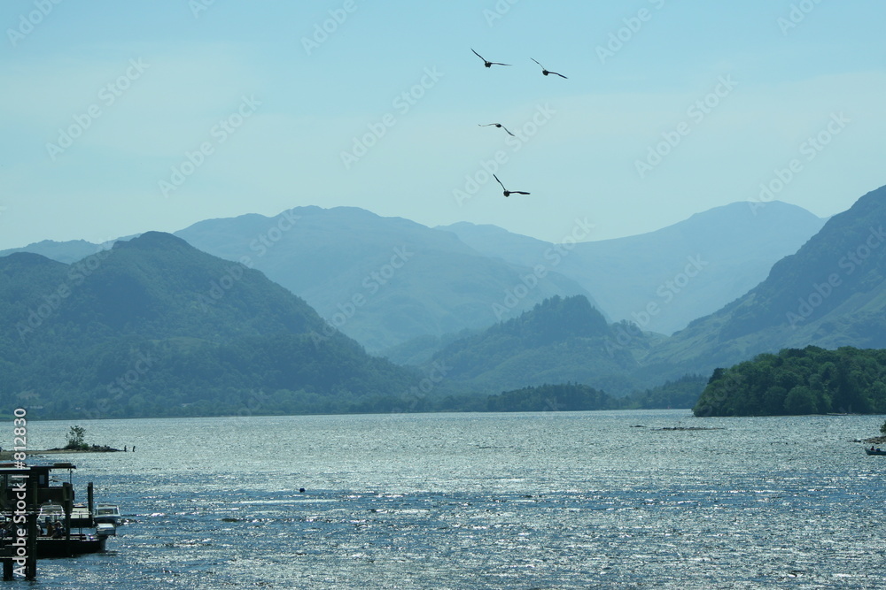 Fototapeta premium birds over derwent