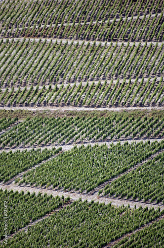vignoble savoyard