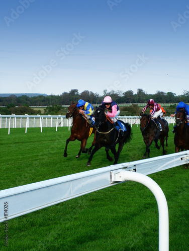horses racing