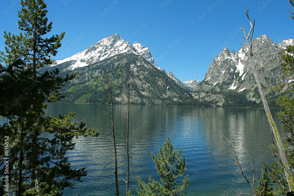 Ταπετσαρία grand tetons; jenny lake