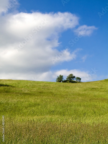 grassy hill