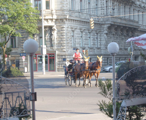 nachmittag in wien